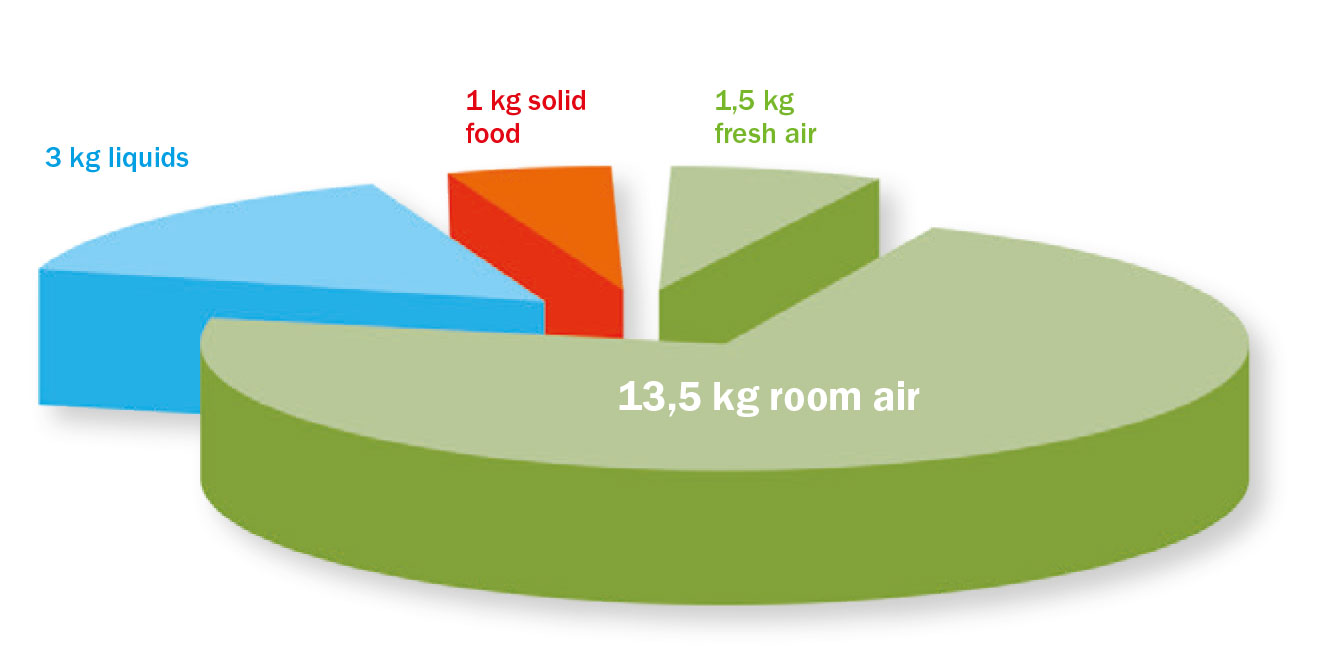 Vzduch ako základná potravina